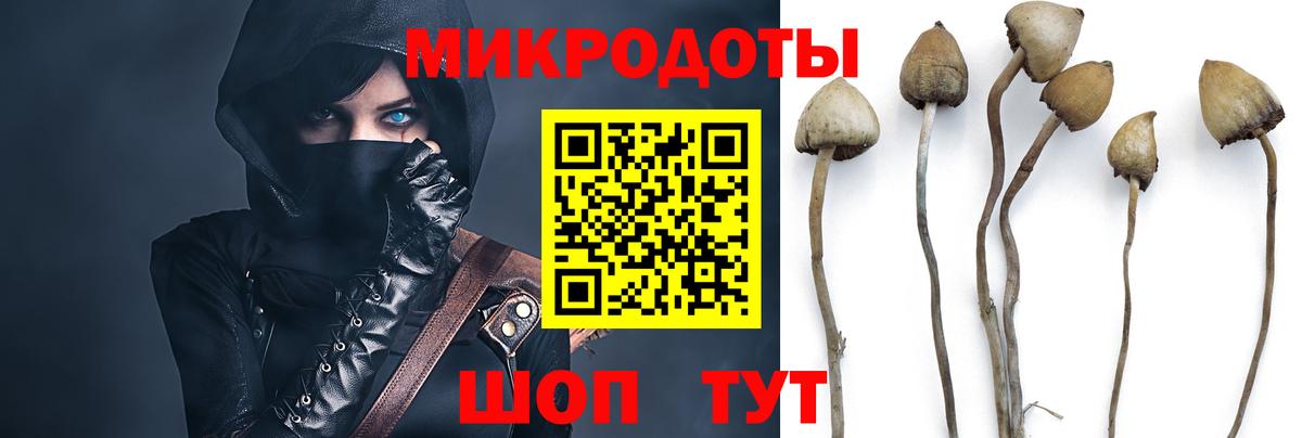 Псилоцибиновые грибы ЛСД  хочу   Учалы  Вход с VPN  Галлюциногенные грибы Psilocybine cubensis 